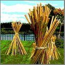 workshop bamboe bouwen workshop bamboe bouwen
