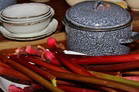 workshop koken zuidoost Drenthe workshop koken zuidoost Drenthe